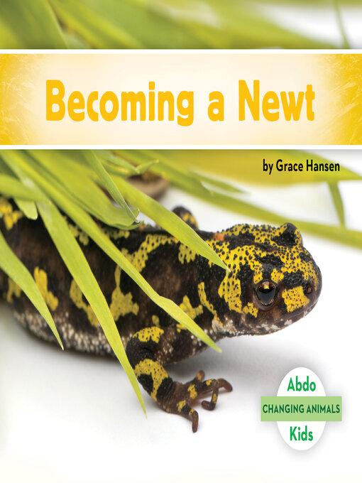 Title details for Becoming a Newt by Grace Hansen - Available